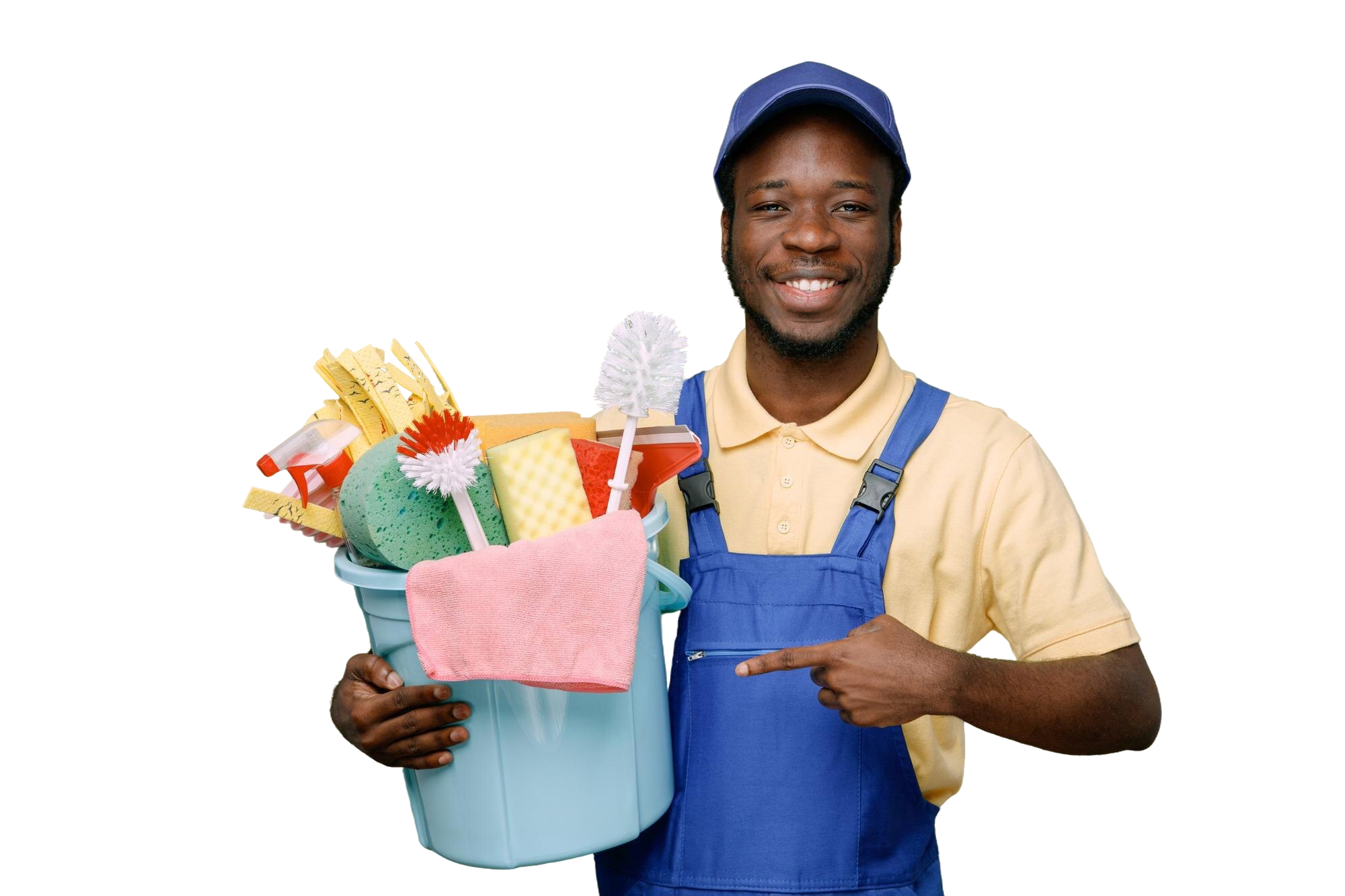 Professional Cleaner